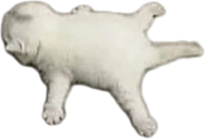 Splort emoji