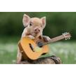 Music Piggy emoji