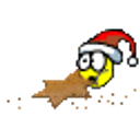 Xmas Cookie emoji