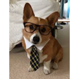 Business Corgi emoji
