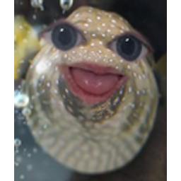 Weird Fish emoji