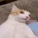 Holyfuckingshit emoji