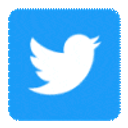 Twitterlogo emoji