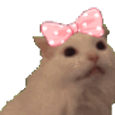 Bowkitty emoji