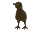 Kiwi Spin emoji
