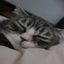 Sleep emoji