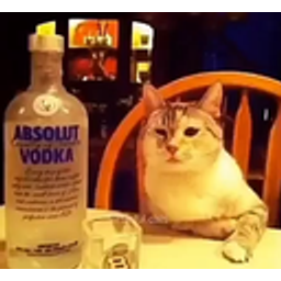 Mood1cat emoji