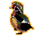 Wood Duck emoji