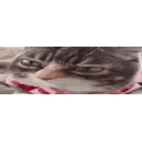 Aaaaaaaaaaalright emoji