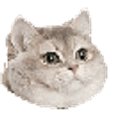 Breathing Intensifies Cat emoji