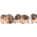 Pugparty emoji
