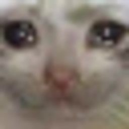 Cat Purple Hug Heart emoji