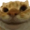Sisi emoji