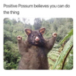Positive Possum emoji