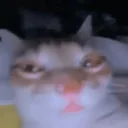 Suh emoji
