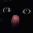Silly Cat H emoji