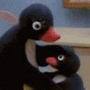 Pingu Head Pat emoji