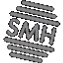 Smh Neon emoji