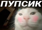 Pupsik emoji