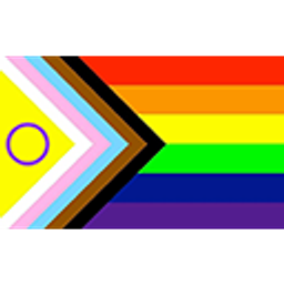 Pride Flag Progressive emoji
