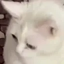 Catgag emoji