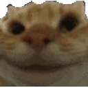Catyes emoji