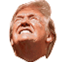 Trump Shaking emoji
