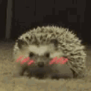 Blushhedge0 emoji