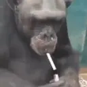 Monkesmoke emoji