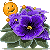 African Violet emoji