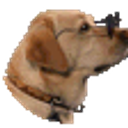 Dog Cool emoji