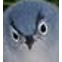 Angybluebird emoji