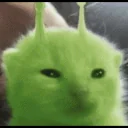 Glorpblicky emoji