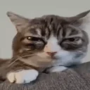 Tired emoji