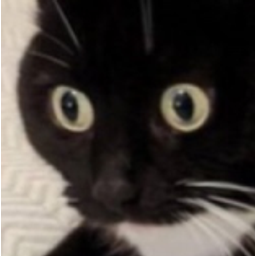 Waymint1 emoji