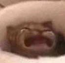 Waaa emoji