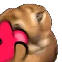 Floppal emoji
