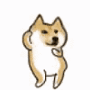 Danceydoge emoji