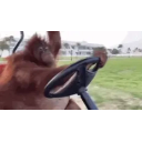Orangutandrive emoji