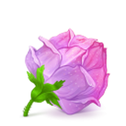 Rose Pink emoji