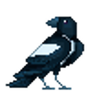 Magpie emoji