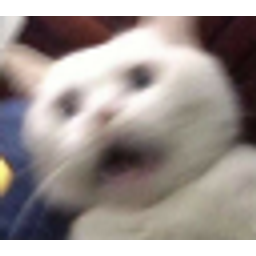 Catscared emoji