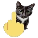 Fyoucat emoji