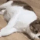 Omgcatisalivepeepohappy emoji