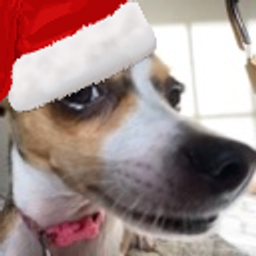 Christmasdogsus emoji