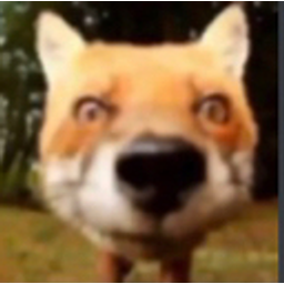 Fox Stare emoji