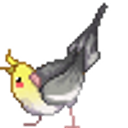 Cockatiel emoji