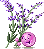 Lavender emoji