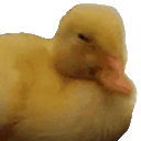 Ducky emoji