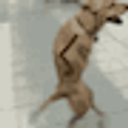 Jazz Hands Dog emoji